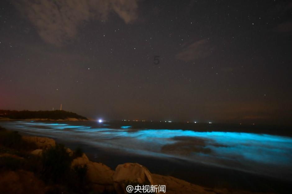 了解单亲家庭的孩子会不想结婚吗?平台,获取精彩知识的乐园